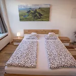 Innsbruck Center Apartment