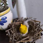 Ferienwohnung Spitzmandl