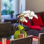 Apartment Zittera - Adults Only
