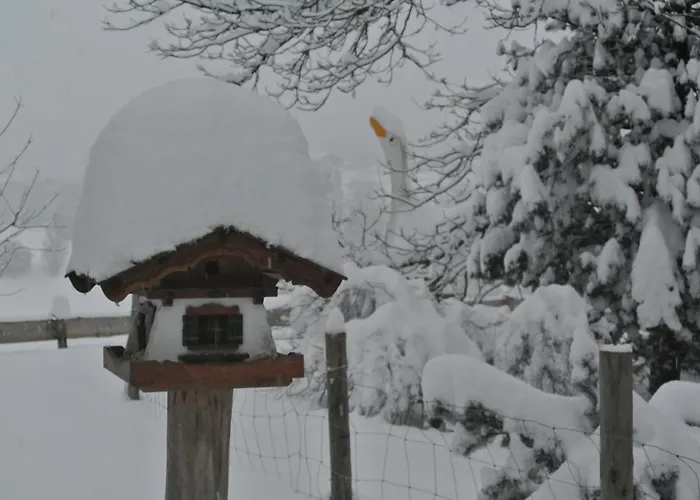 Jausenstation Vogelhuette