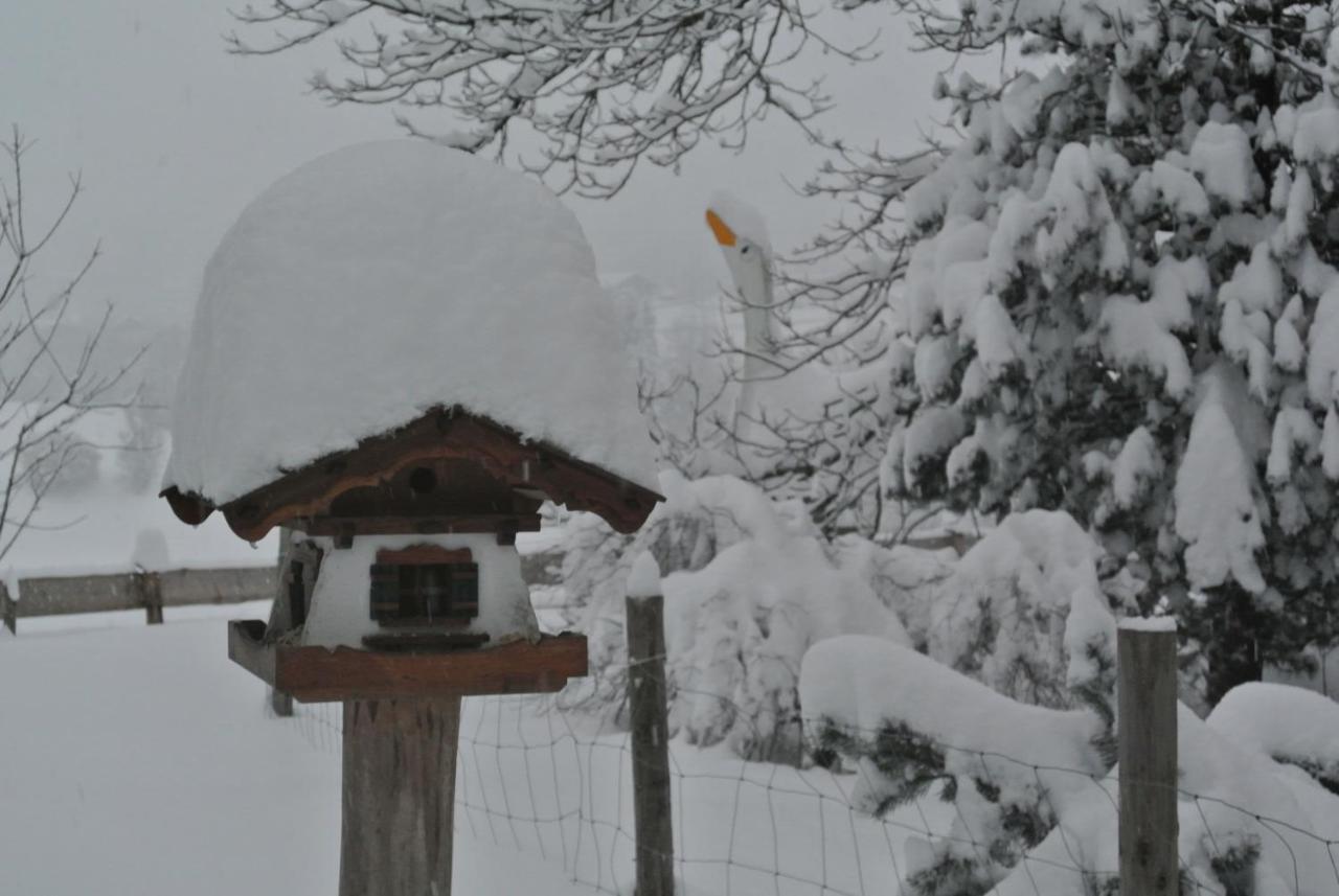 Jausenstation Vogelhutte * Innsbruck