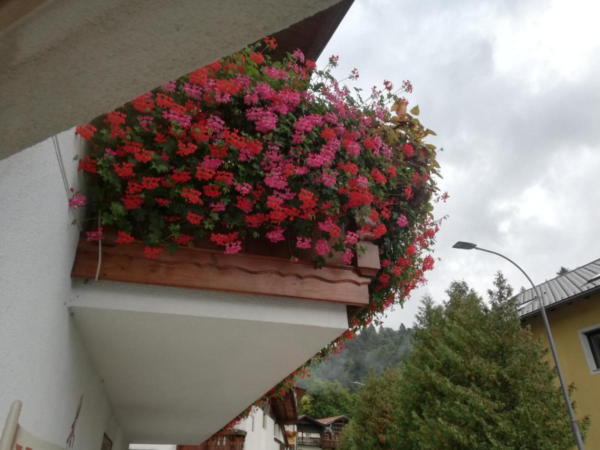 Haus Georg Hospedagem domiciliar