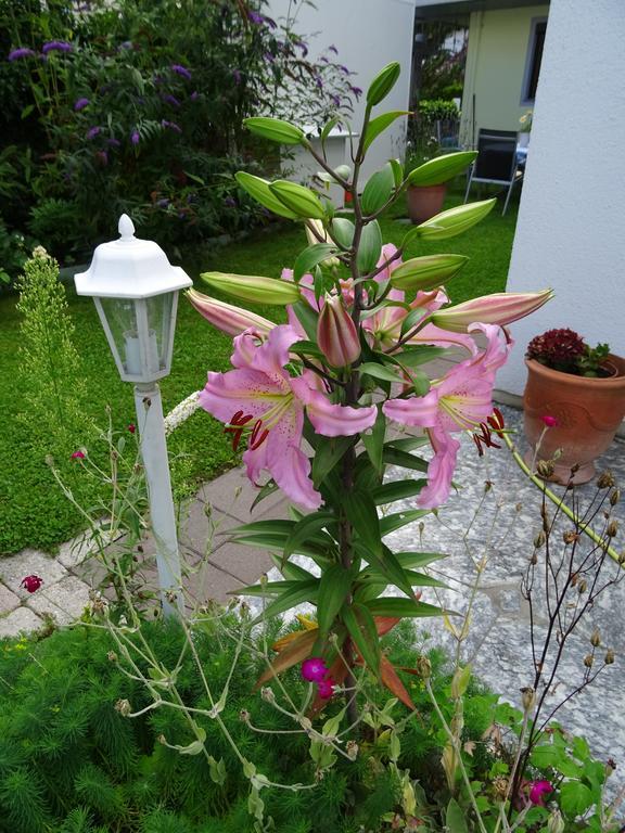 Apartment Traudl Singer Innsbruck