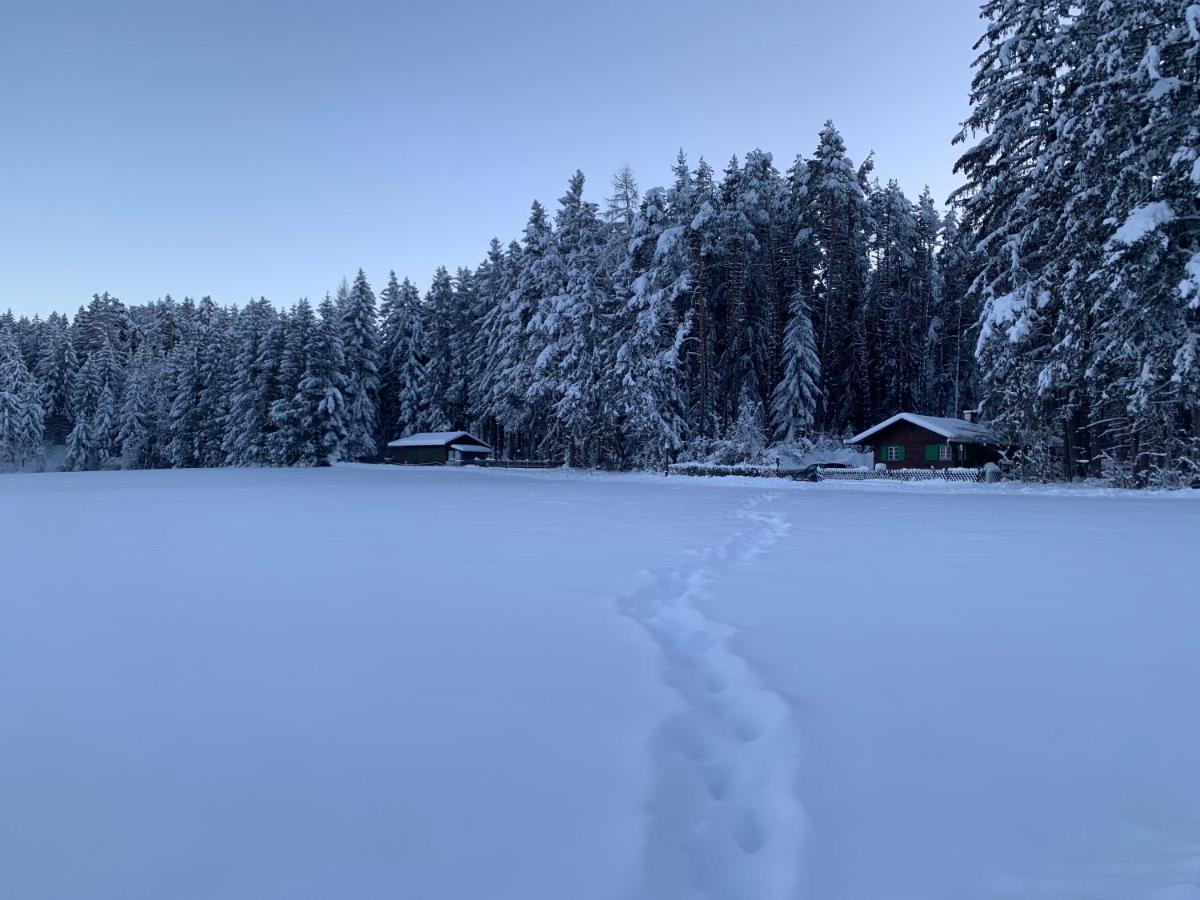 Waldchalet Am Eichhof Chalet