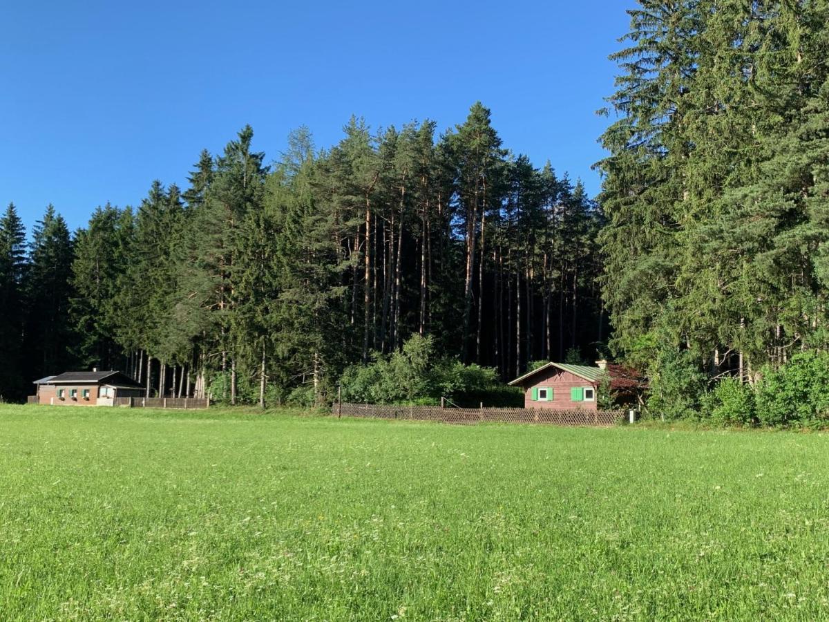 Waldchalet Am Eichhof Chalet *