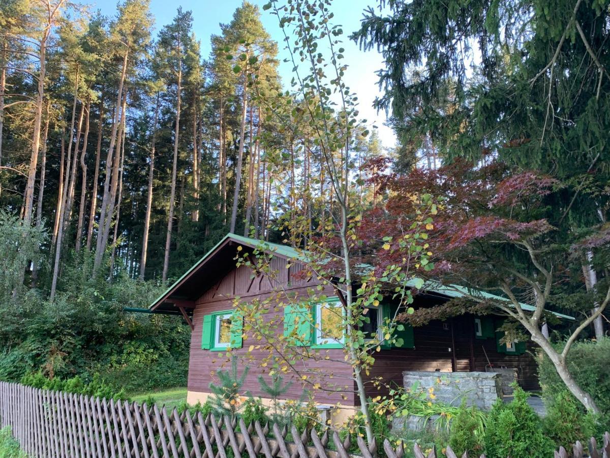 Chalet Waldchalet Am Eichhof