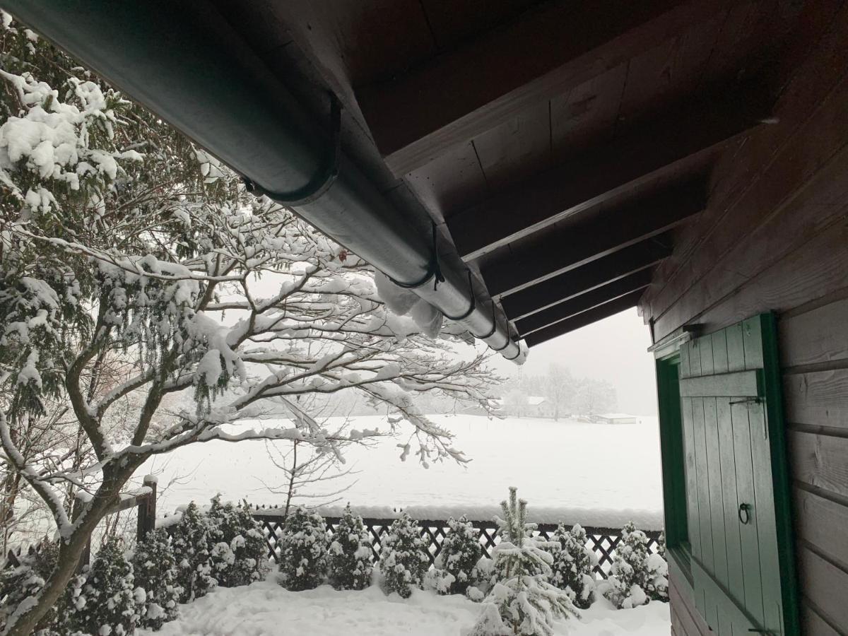 Waldchalet Am Eichhof Chalet