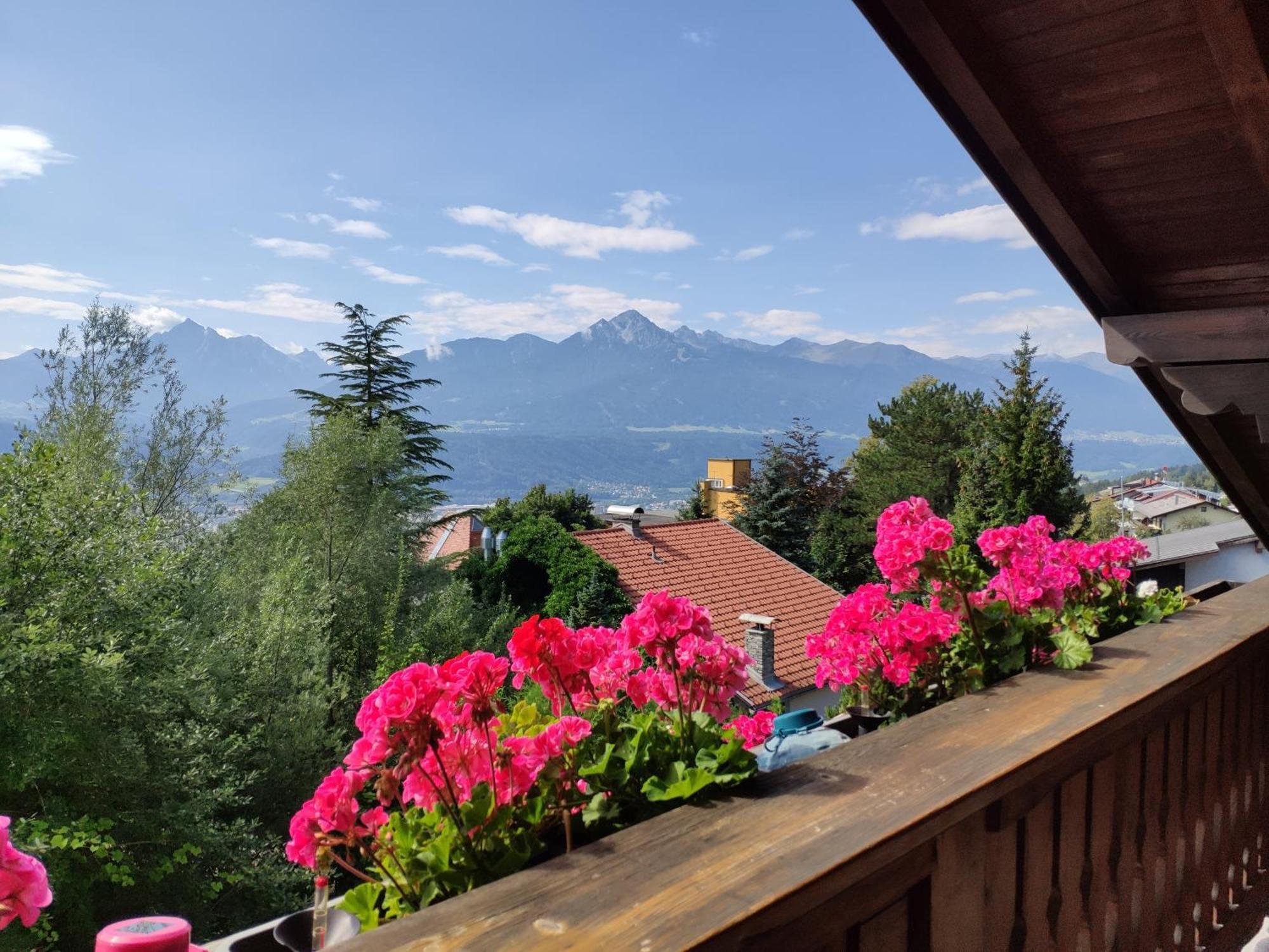 Alpendohle Apartment *