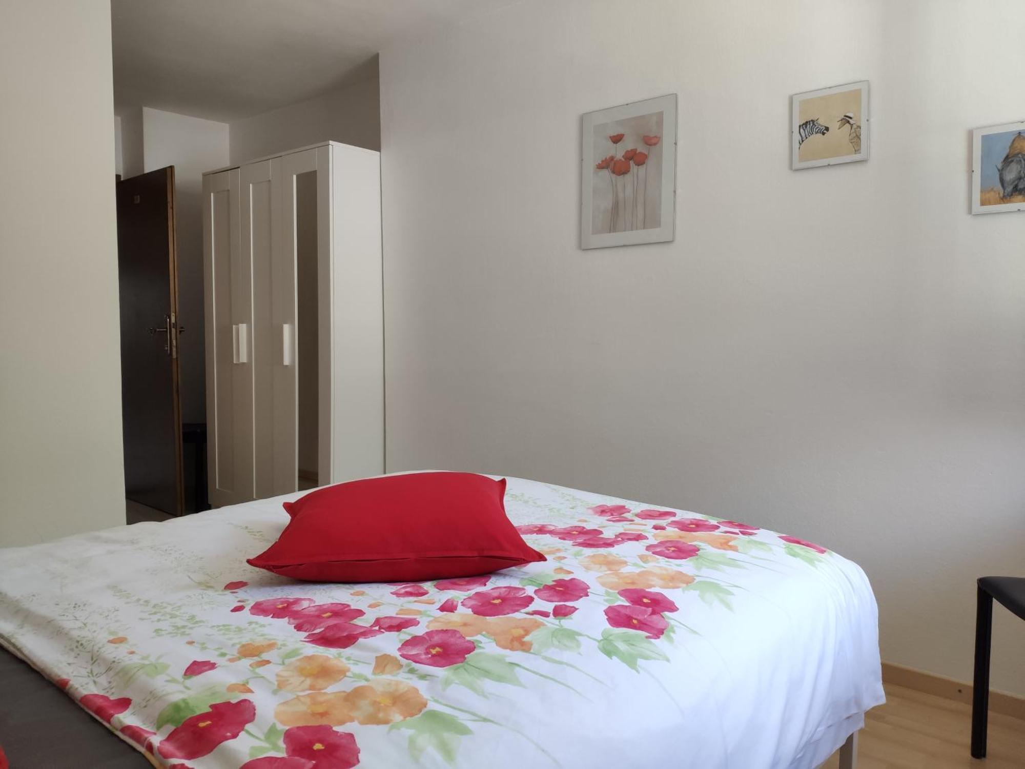 Apartment Alpendohle *