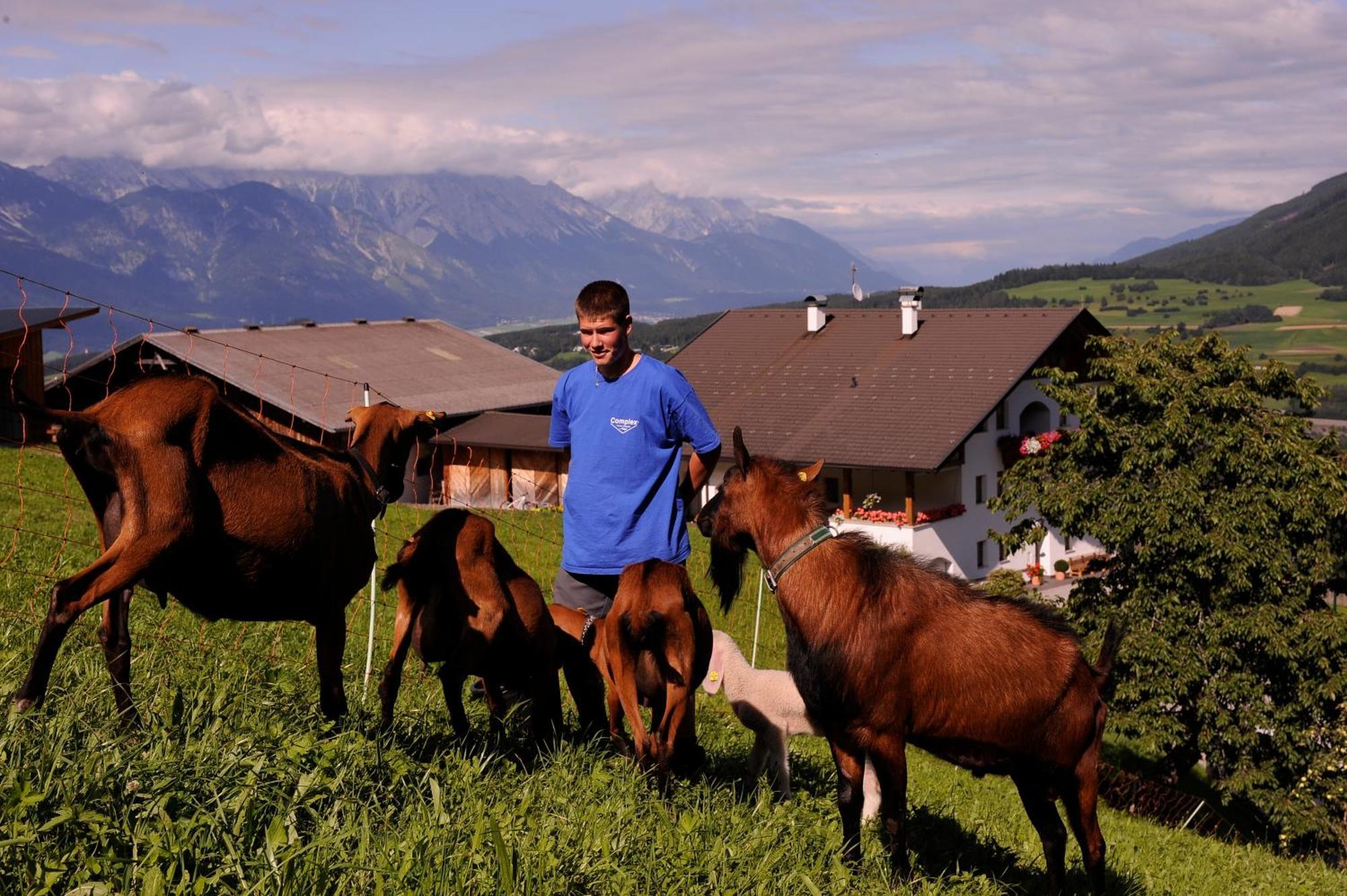 Farm stay Hoarachhof *