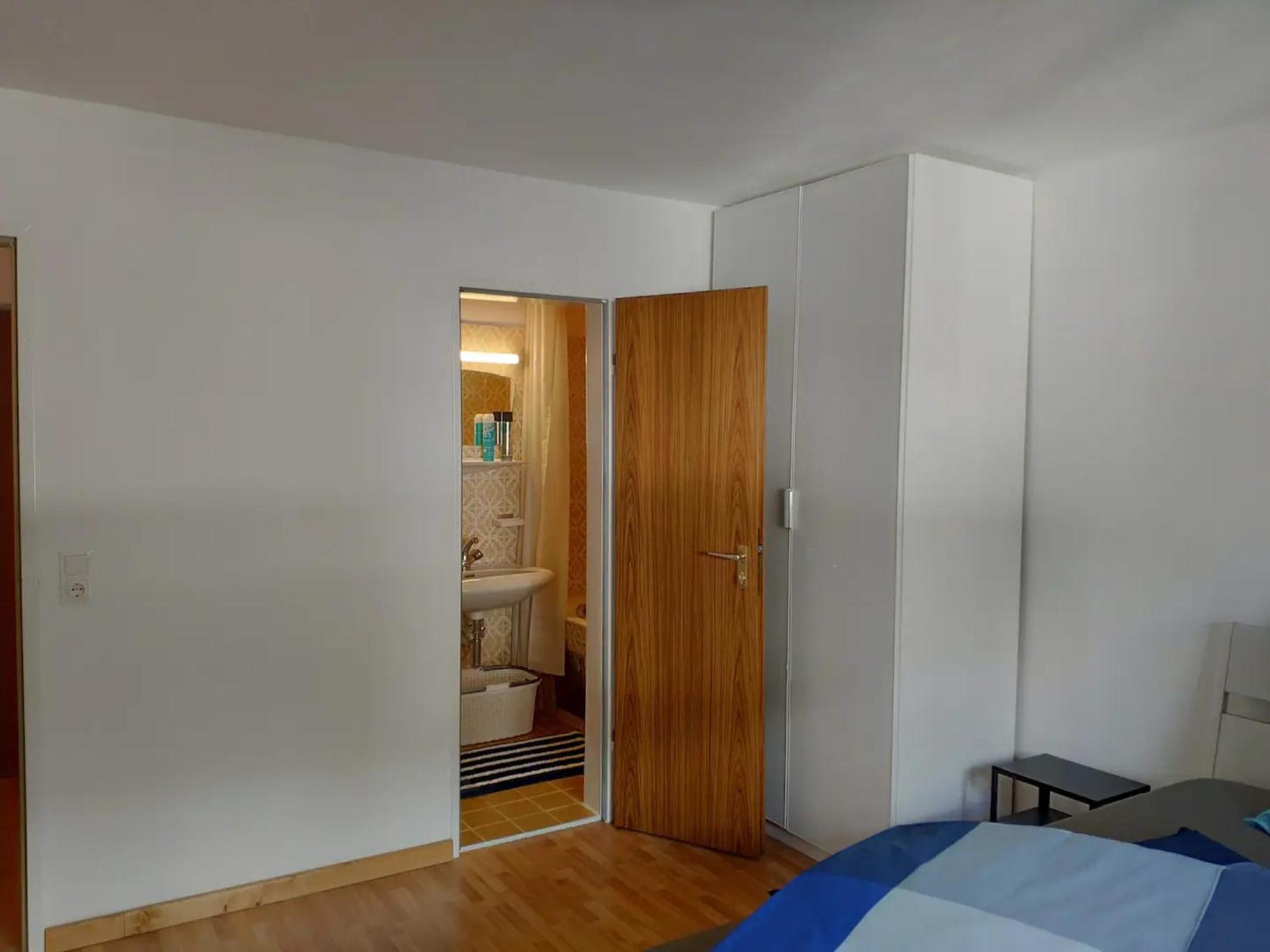 Alpendohle Innsbruck