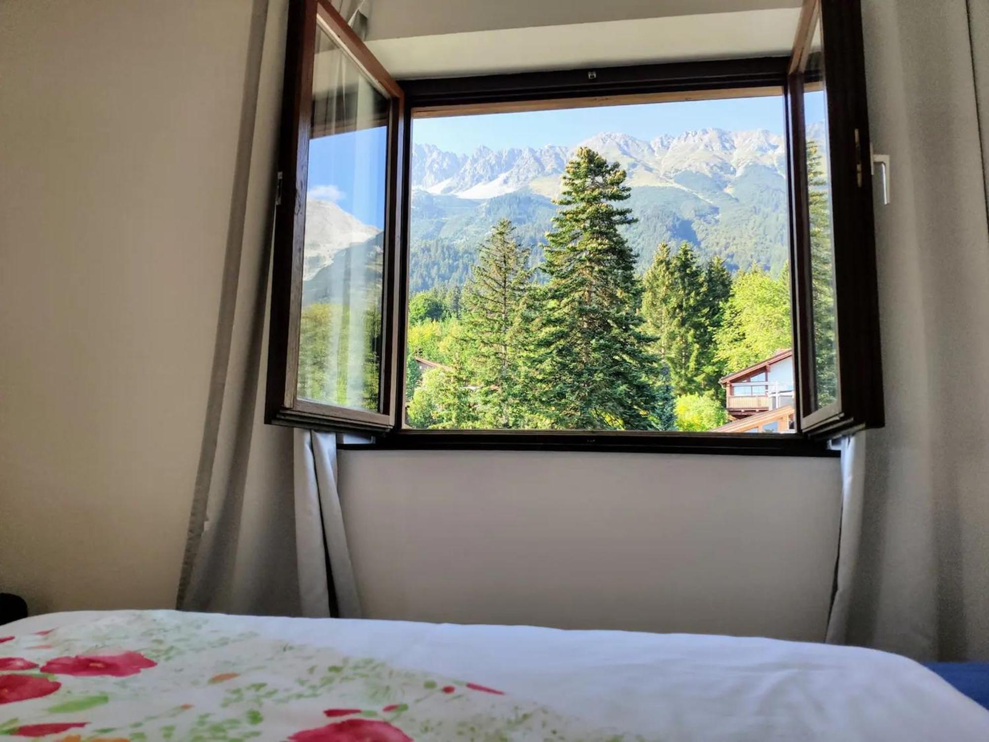 Alpendohle Innsbruck