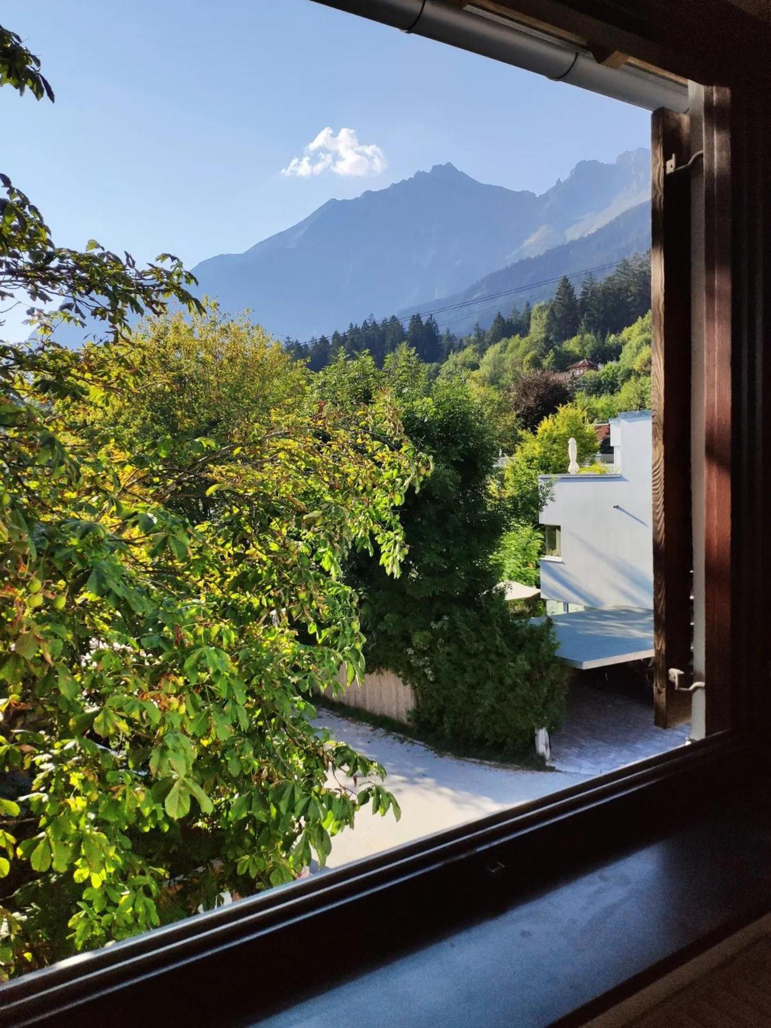 Alpendohle *
