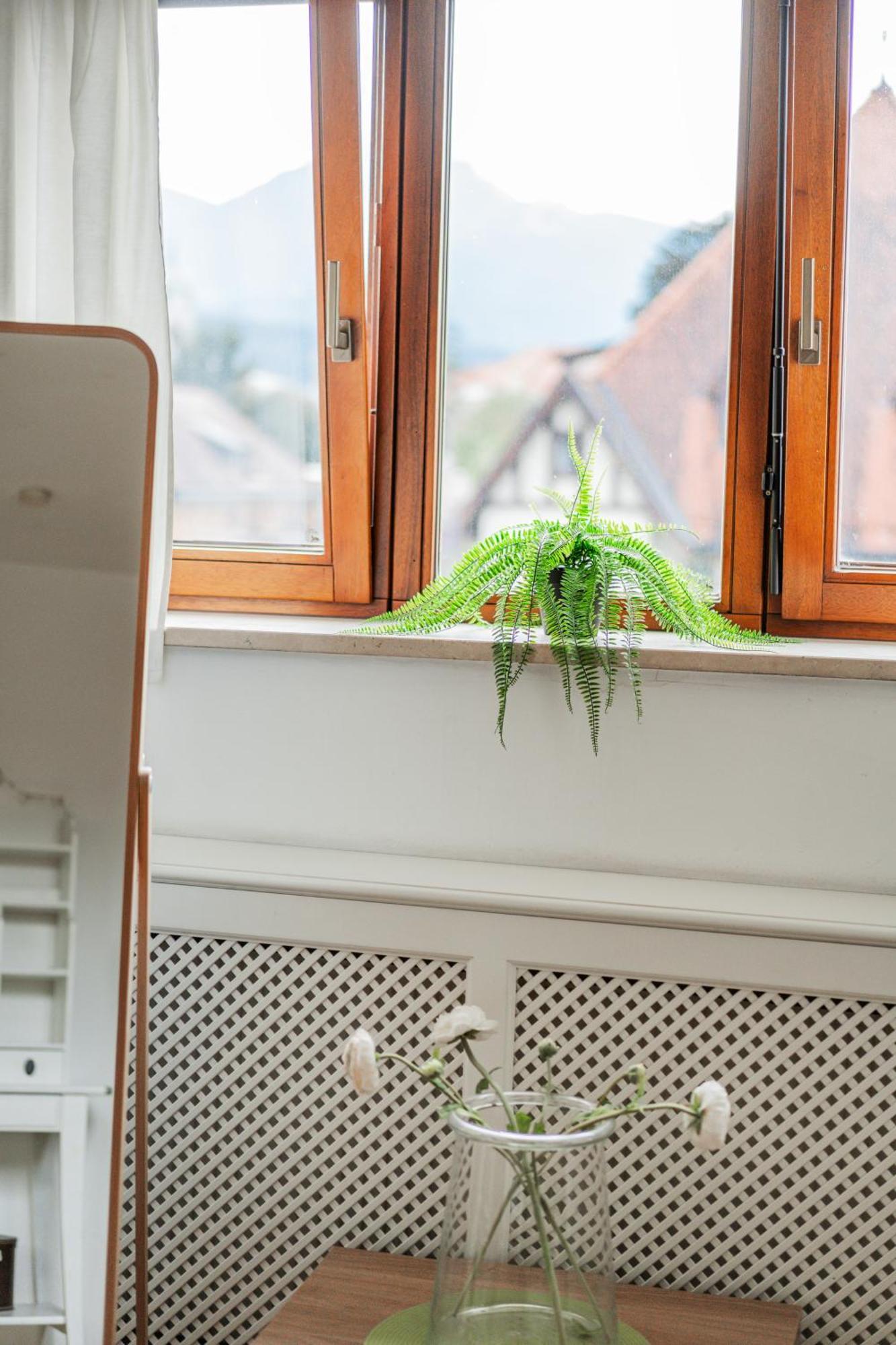 Apartment Bergblick Penthouse *