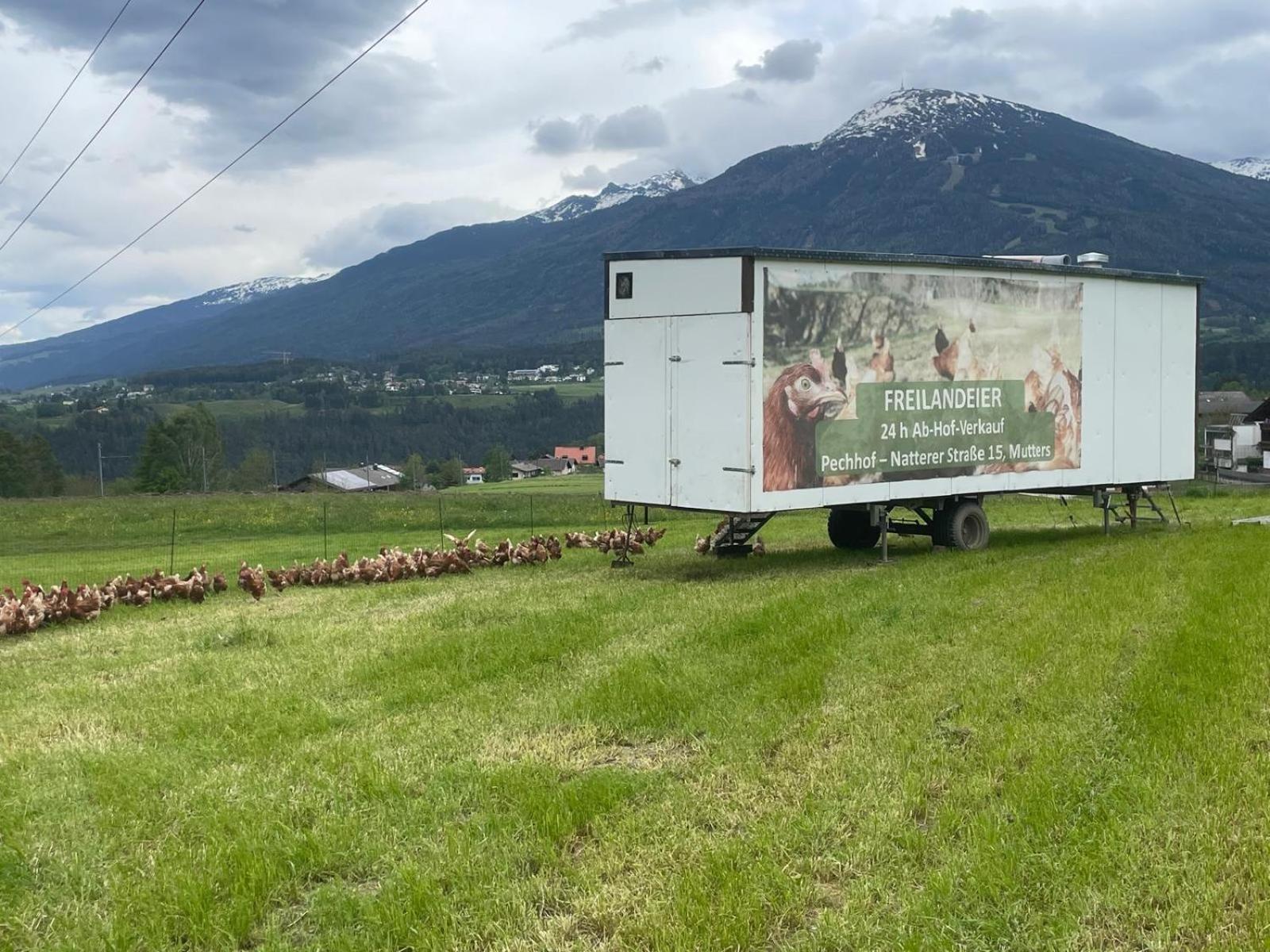 Pechhof Farm stay