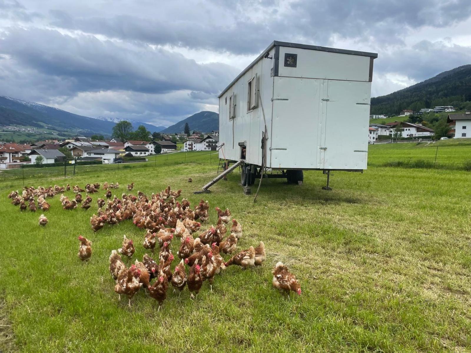 Farm stay Pechhof