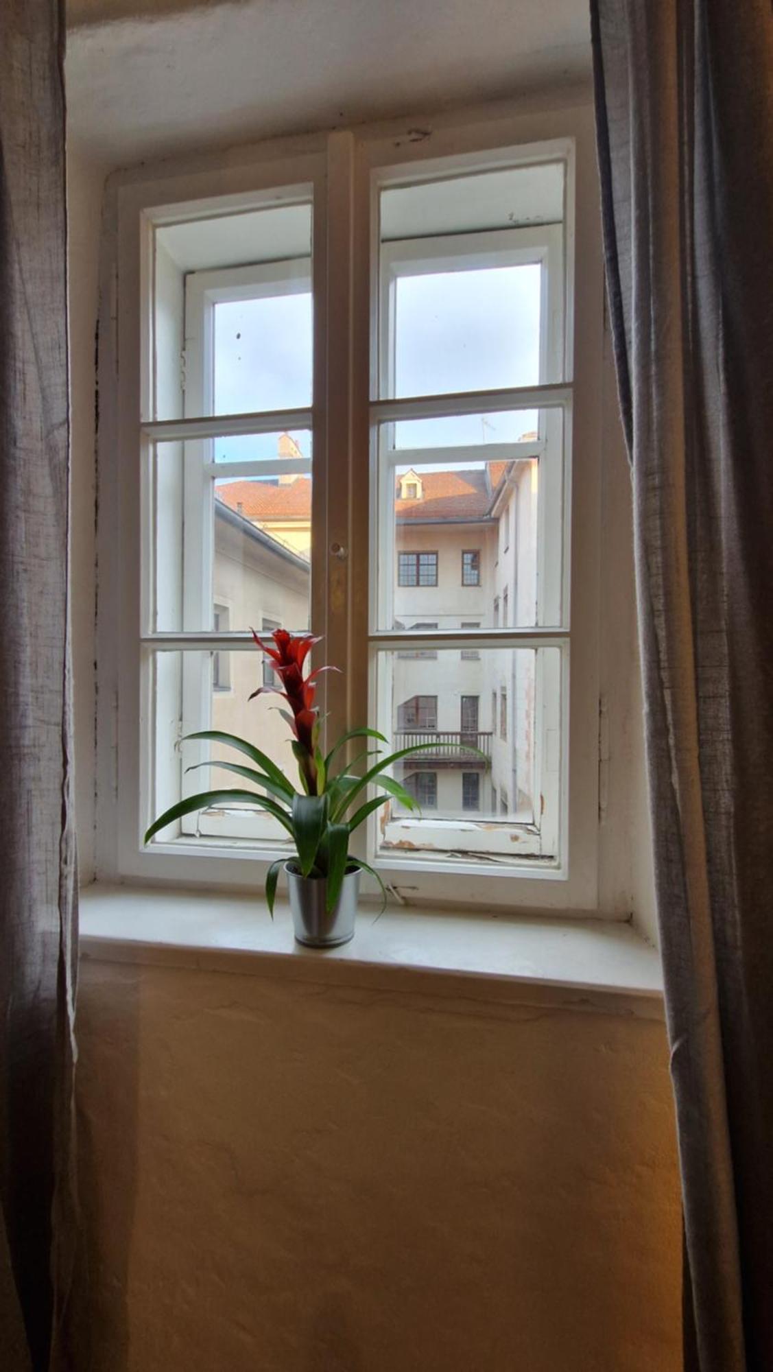 Apartment Historical Goldenes Dachl *
