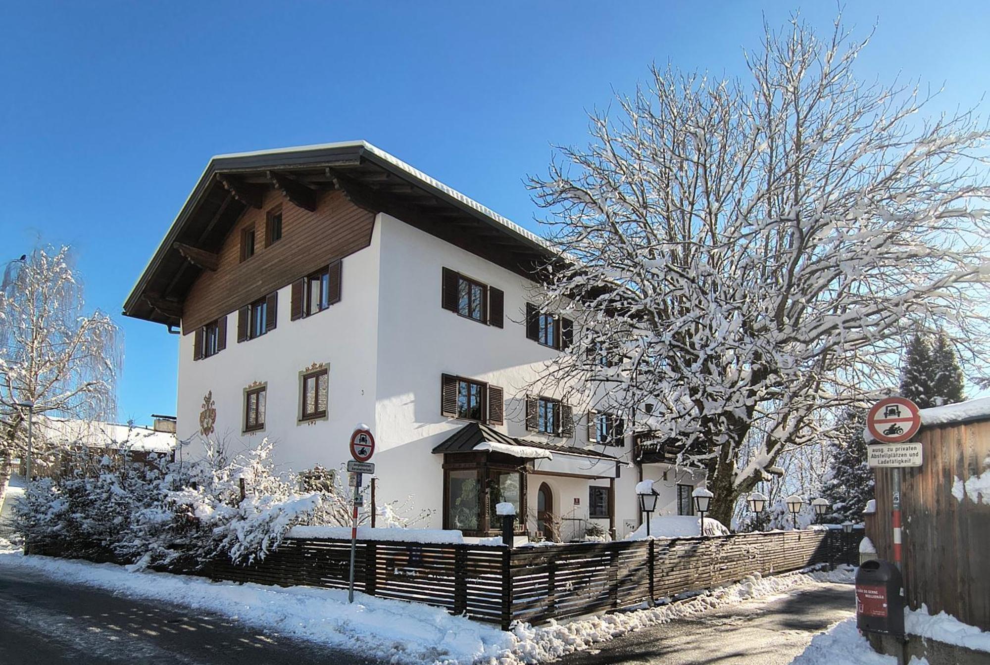 Alpendohle *