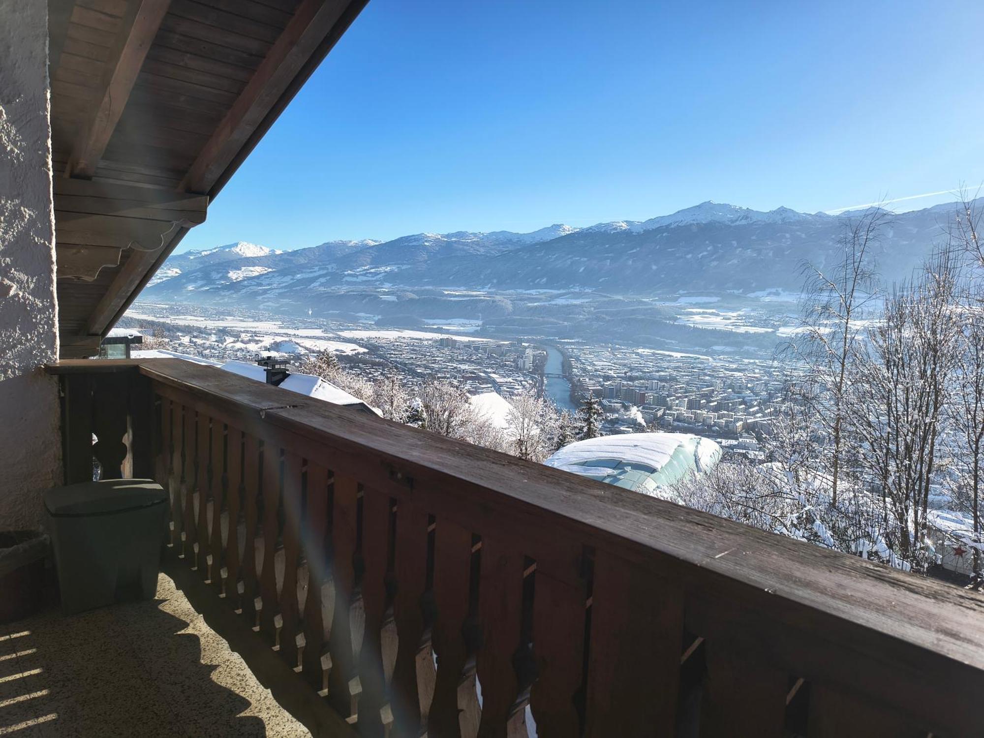 Alpendohle Innsbruck