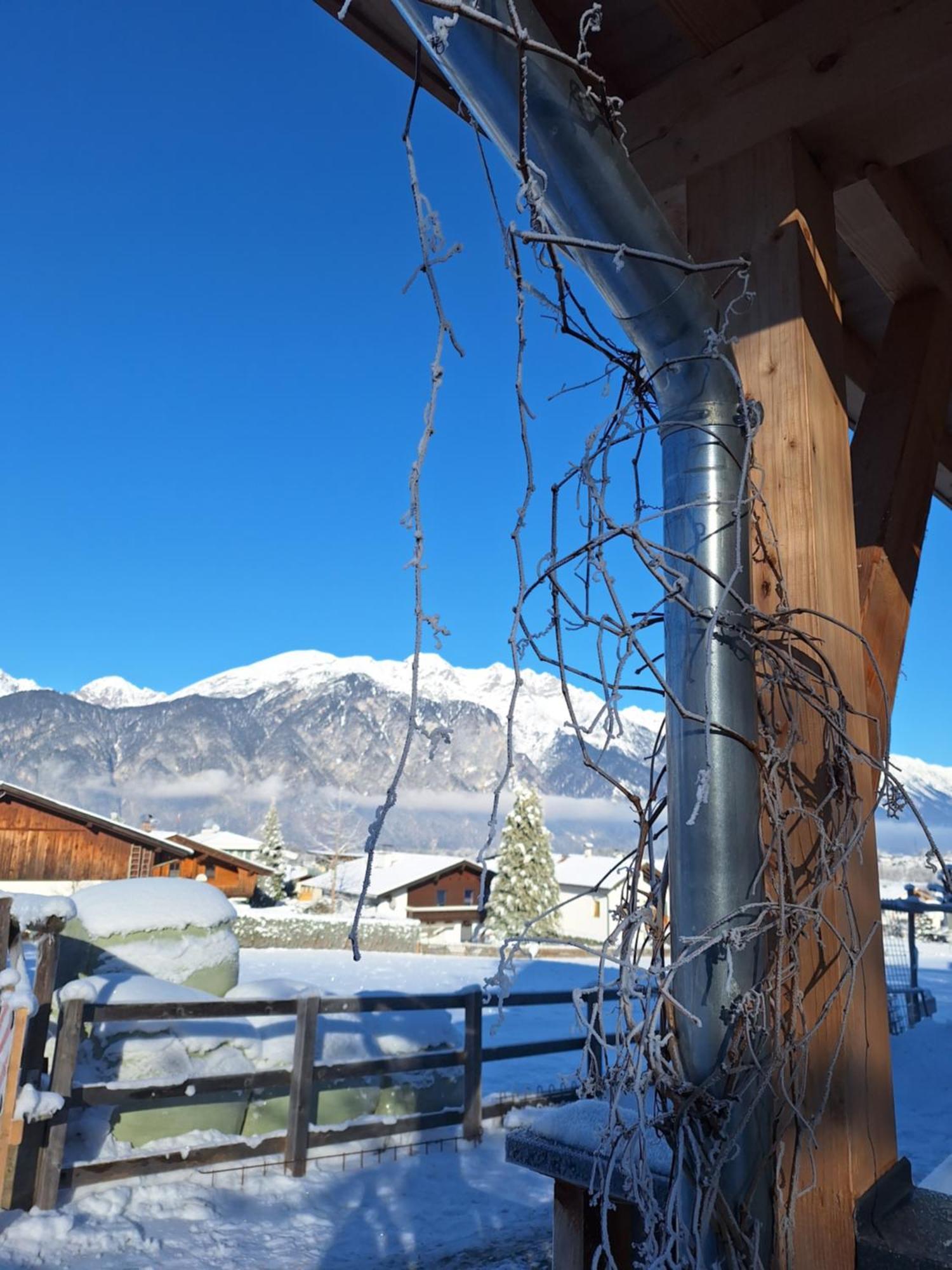 Apartment Seppi Innsbruck