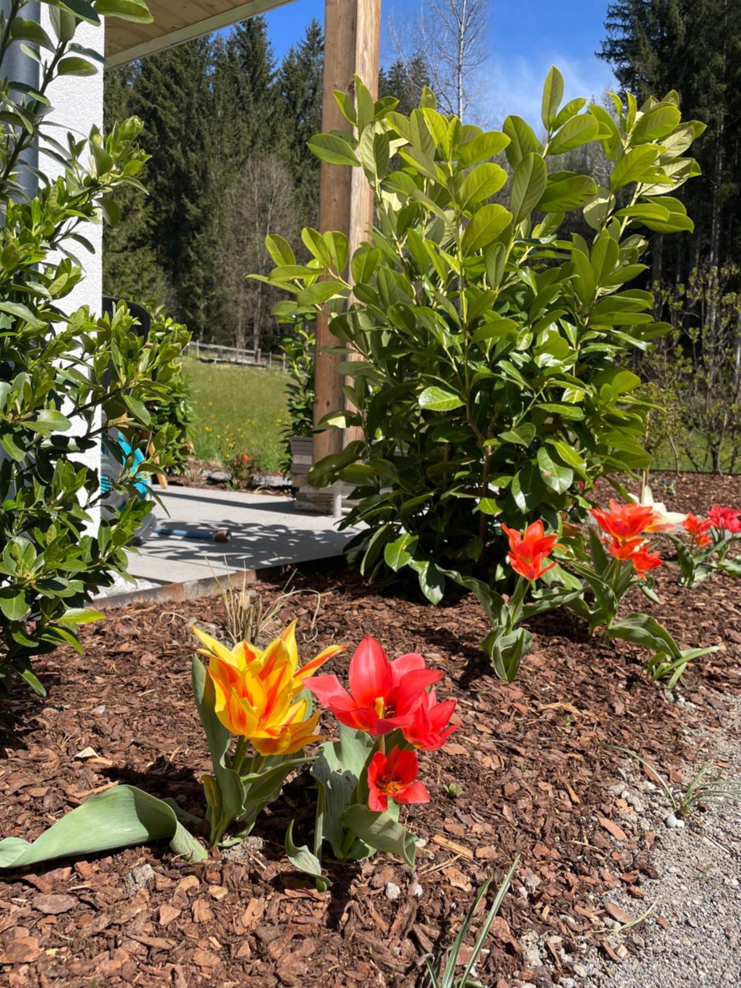 Waldblick - Neubau - Self-check-in - Kein Verkehr - Am Wald - Parkplaetze Vor Tuer - Or Double Apartment Innsbruck