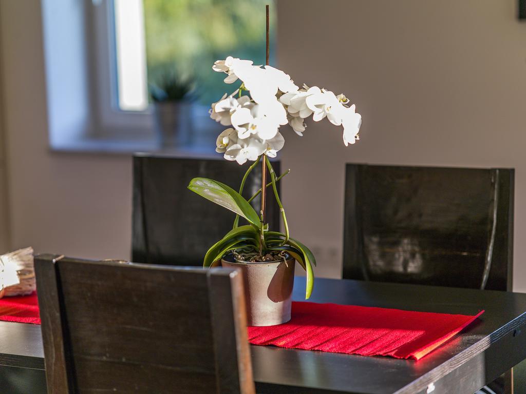 Apartamento Apartment Zittera - Adults Only *
