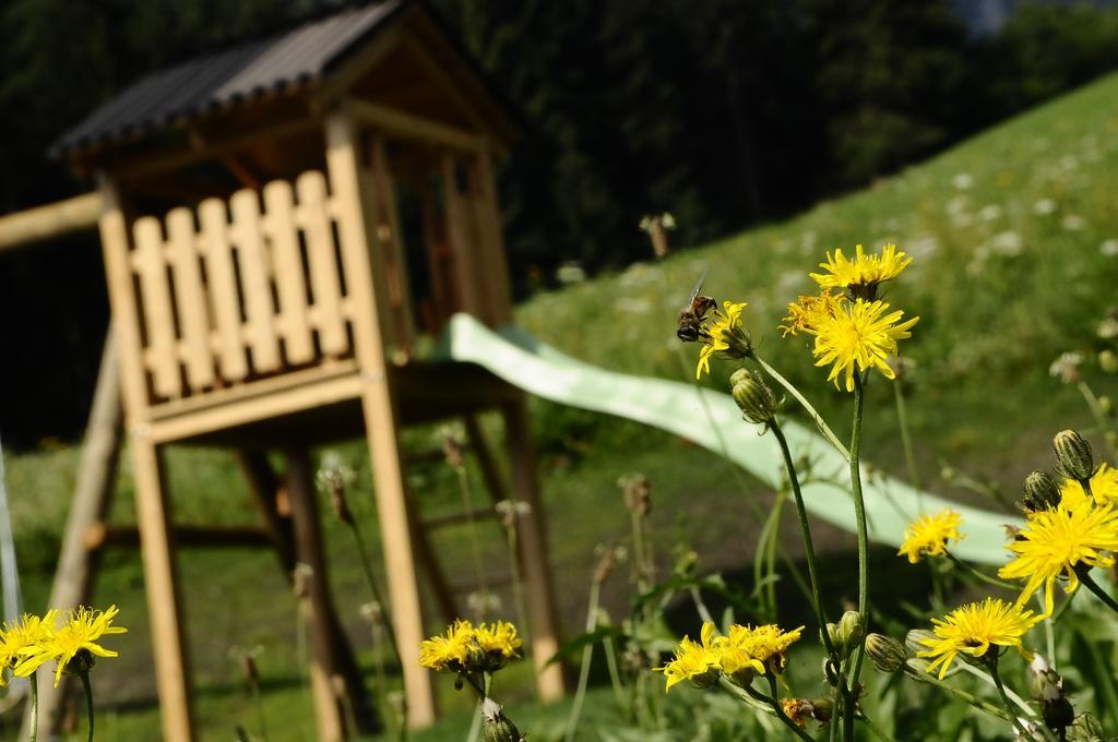 Farm stay Hoarachhof *