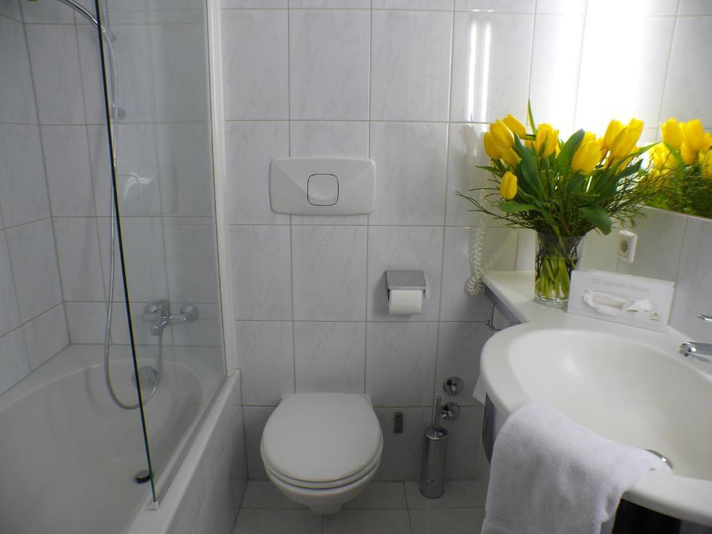 Hotel Alpinpark 4*