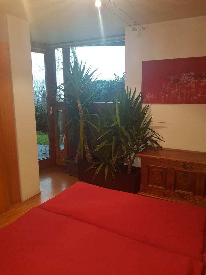 Apartment Over View