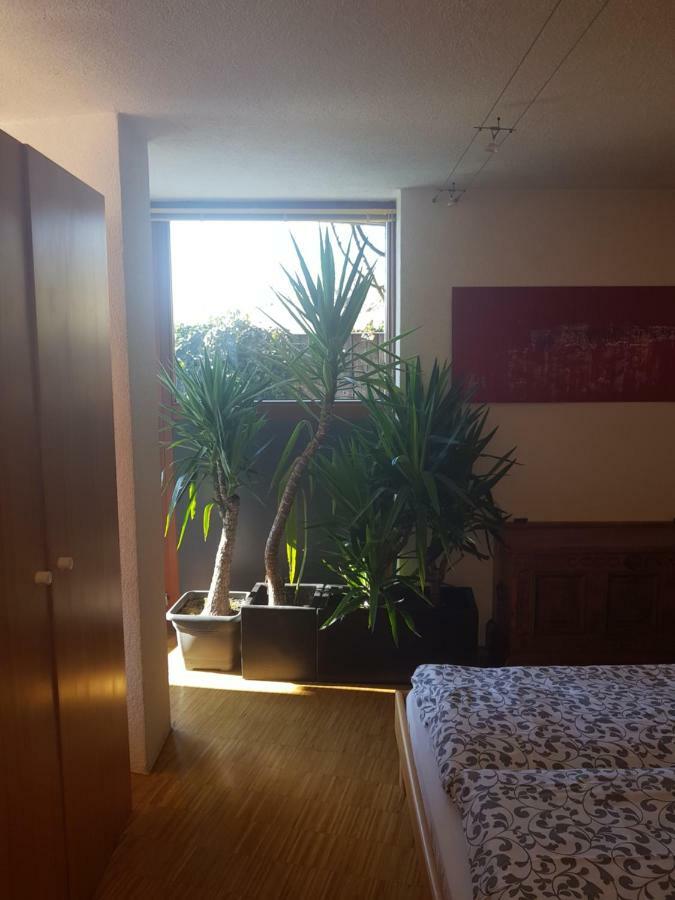 Over View Apartment