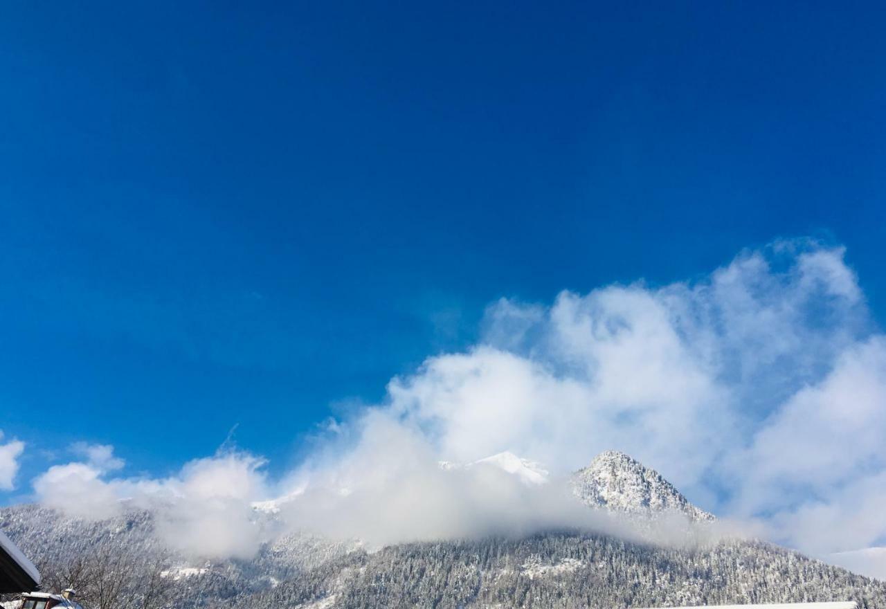 Margit Apartment Innsbruck