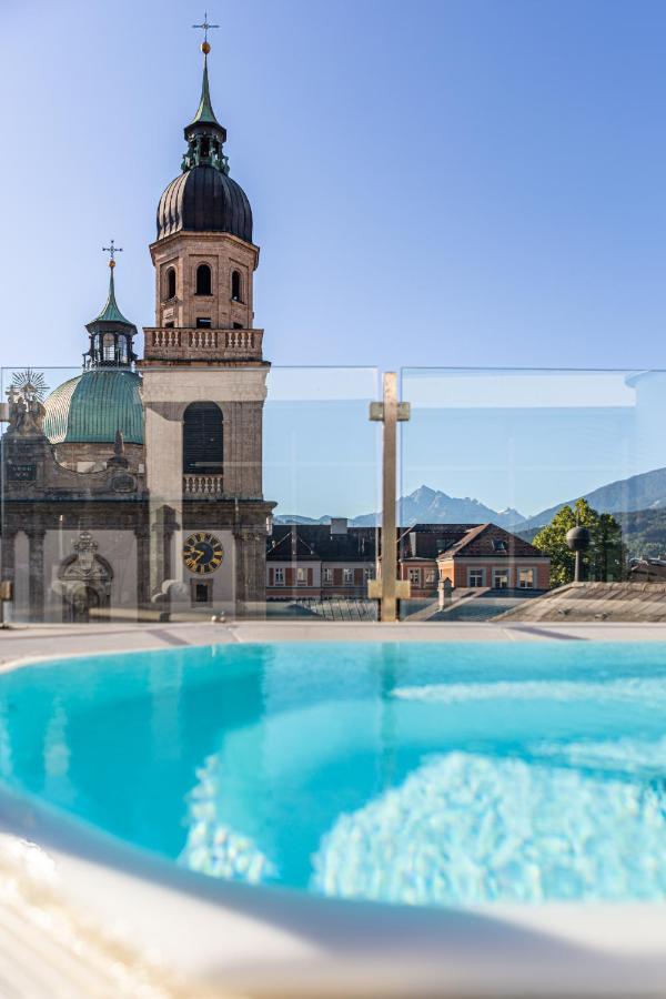 Grauer Baer Innsbruck