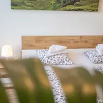 Innsbruck Center Apartment