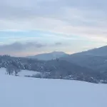Lexhof