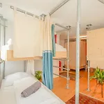 Montagu Hostel