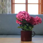 Appartement Schlössl