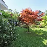 Nigler Innsbruck Apartment
