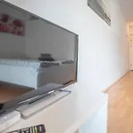 Tyrol Super Deluxe Apartment