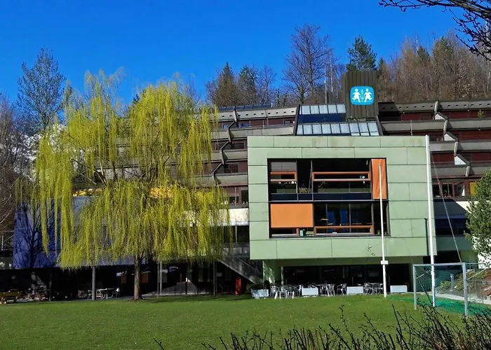 Hermann-Gmeiner-Akademie