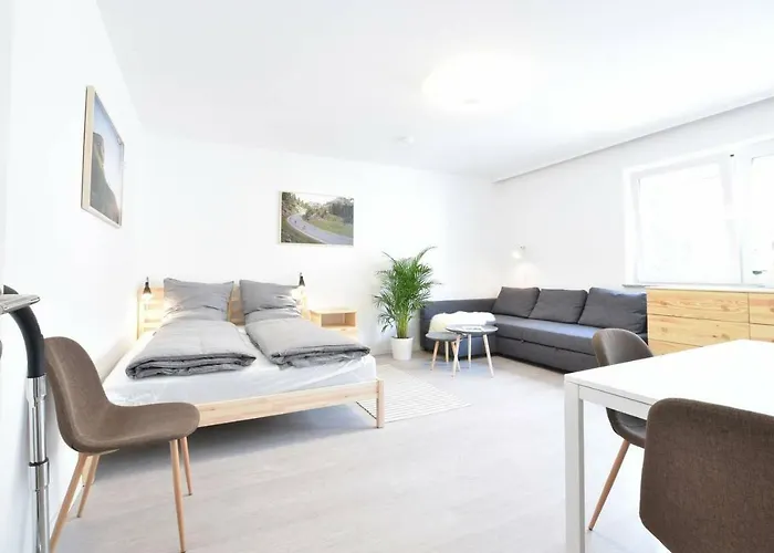 Geraeumige, Moderne 1-Zimmer Wohnung