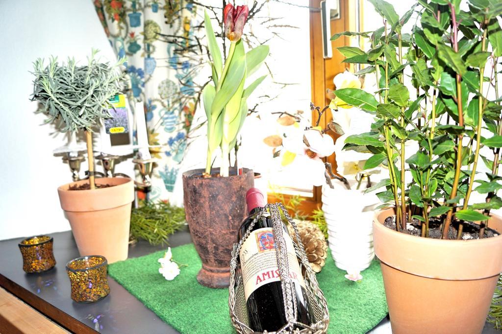 Gasthof Zum Schupfen Hotel 3*