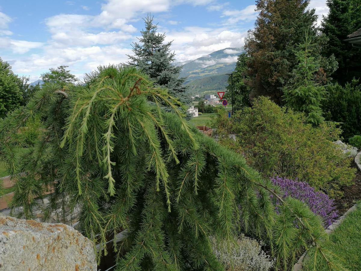 Plainer Innsbruck