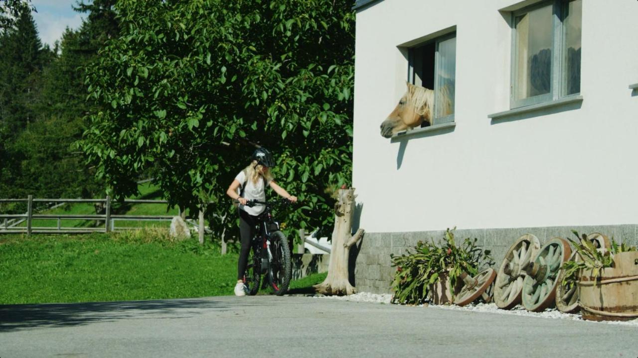 Wiesenhof - & Weitblick Ueber - Ladestation Fuer Elektroautos *