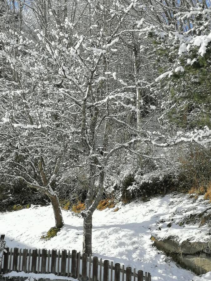 Riedbach Innsbruck