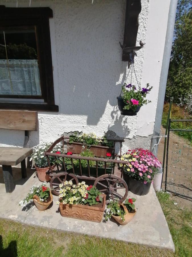 Riedbach * Innsbruck