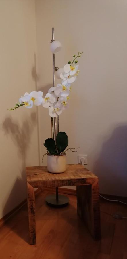 Apartamento Gina