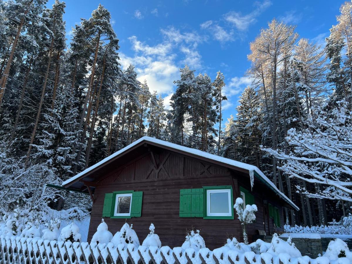 Waldchalet Am Eichhof Chalet