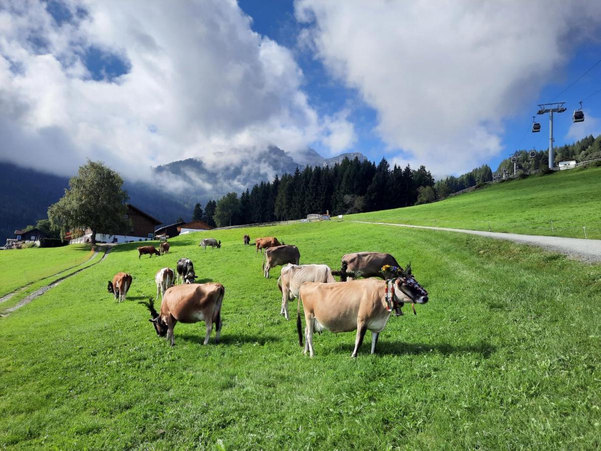 Farm stay Nockhof