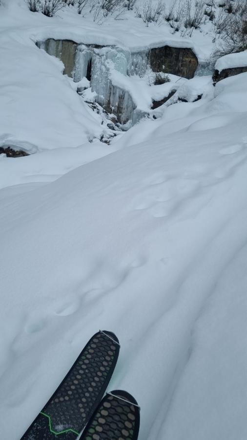 Bike & Snow Appartement
