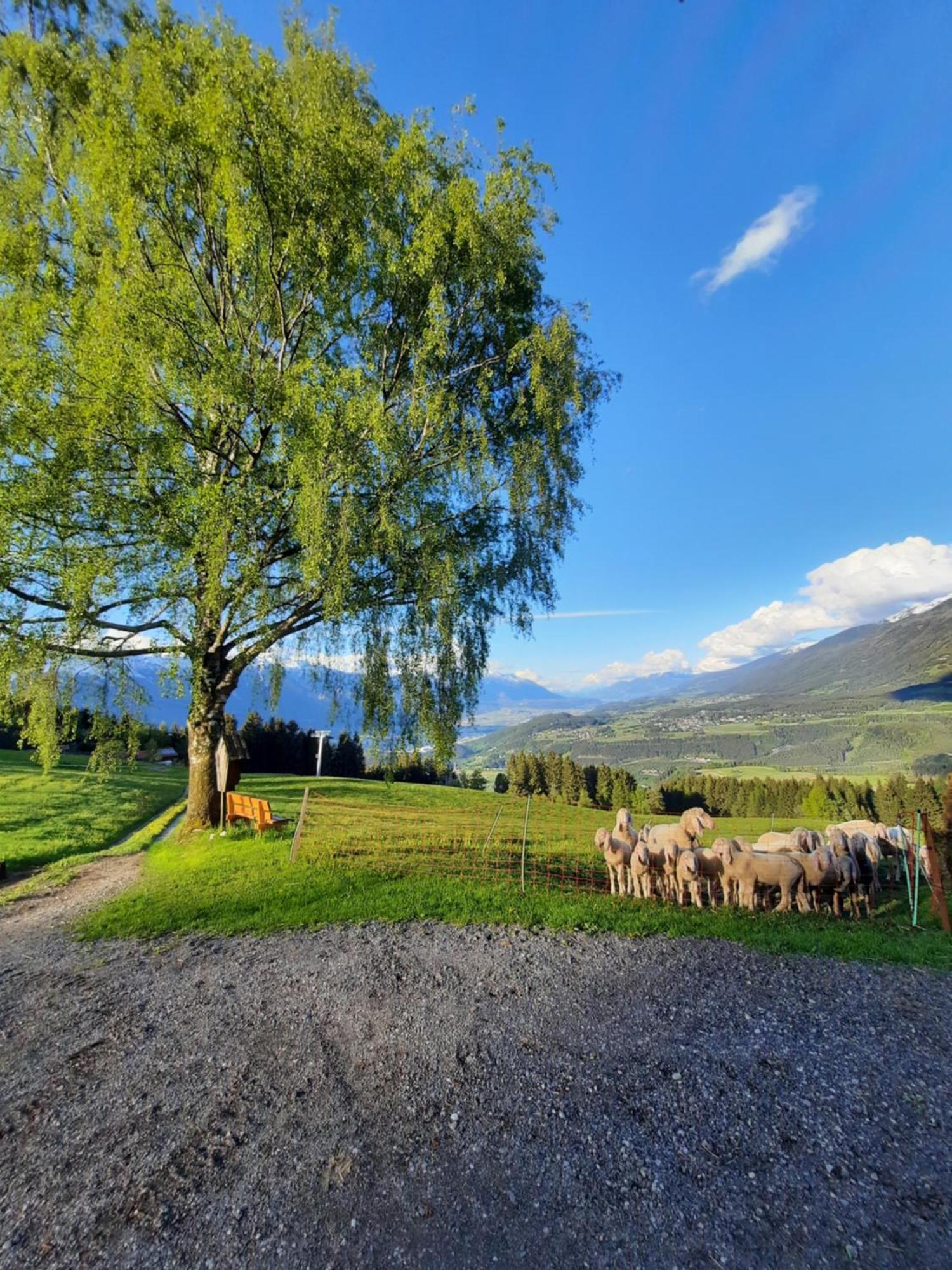 Farm stay Nockhof Innsbruck